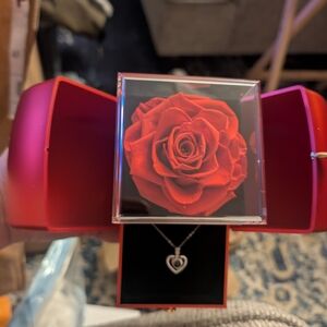 Preserved Rose With necklace